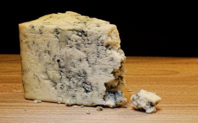 Tranche de fromage de roquefort avec sa fine croûte