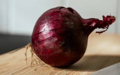 recettes oignon frit